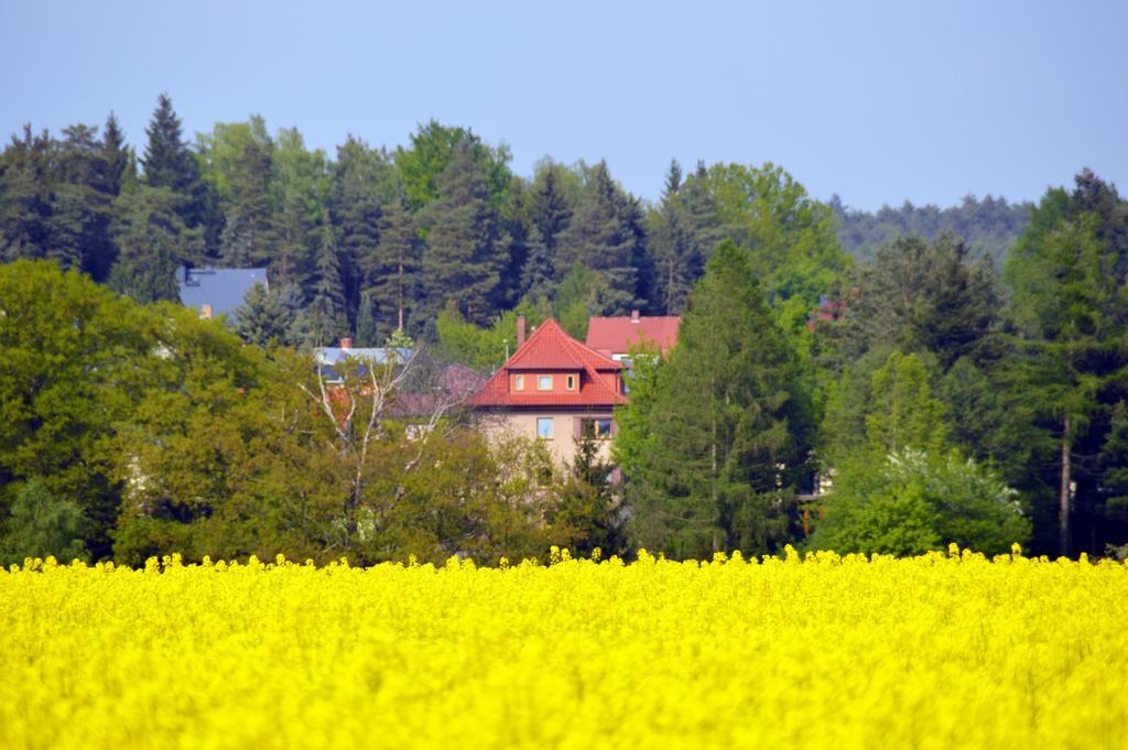 Ferienwohnung Deutschmann Dahlen Bilik gambar